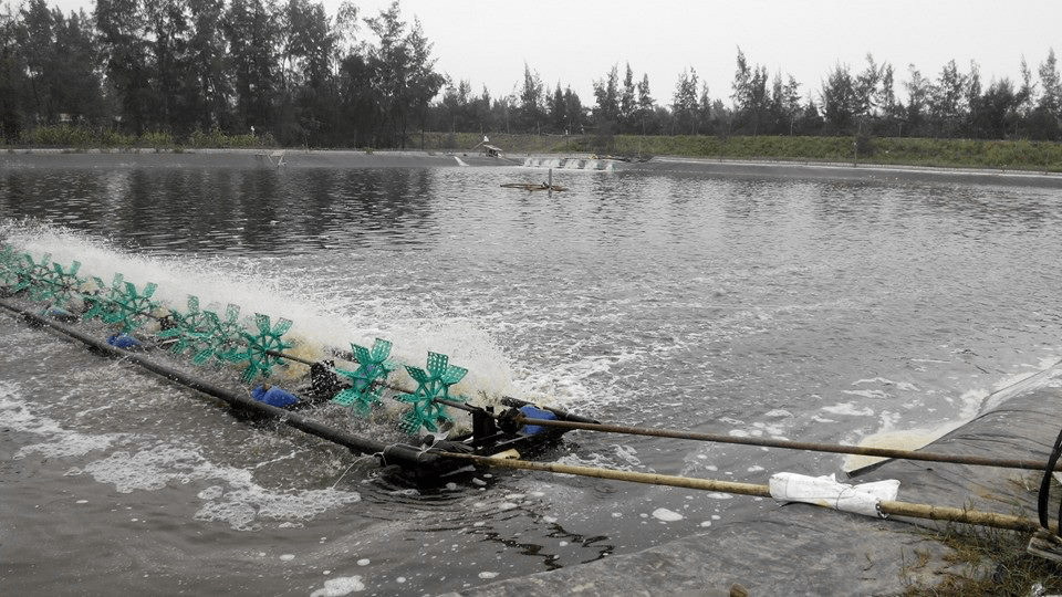 Máy xi phong đáy ao đặt trên bờ