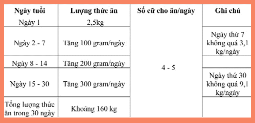 bảng hướng dẫn cho tôm thẻ chân trắng ăn.