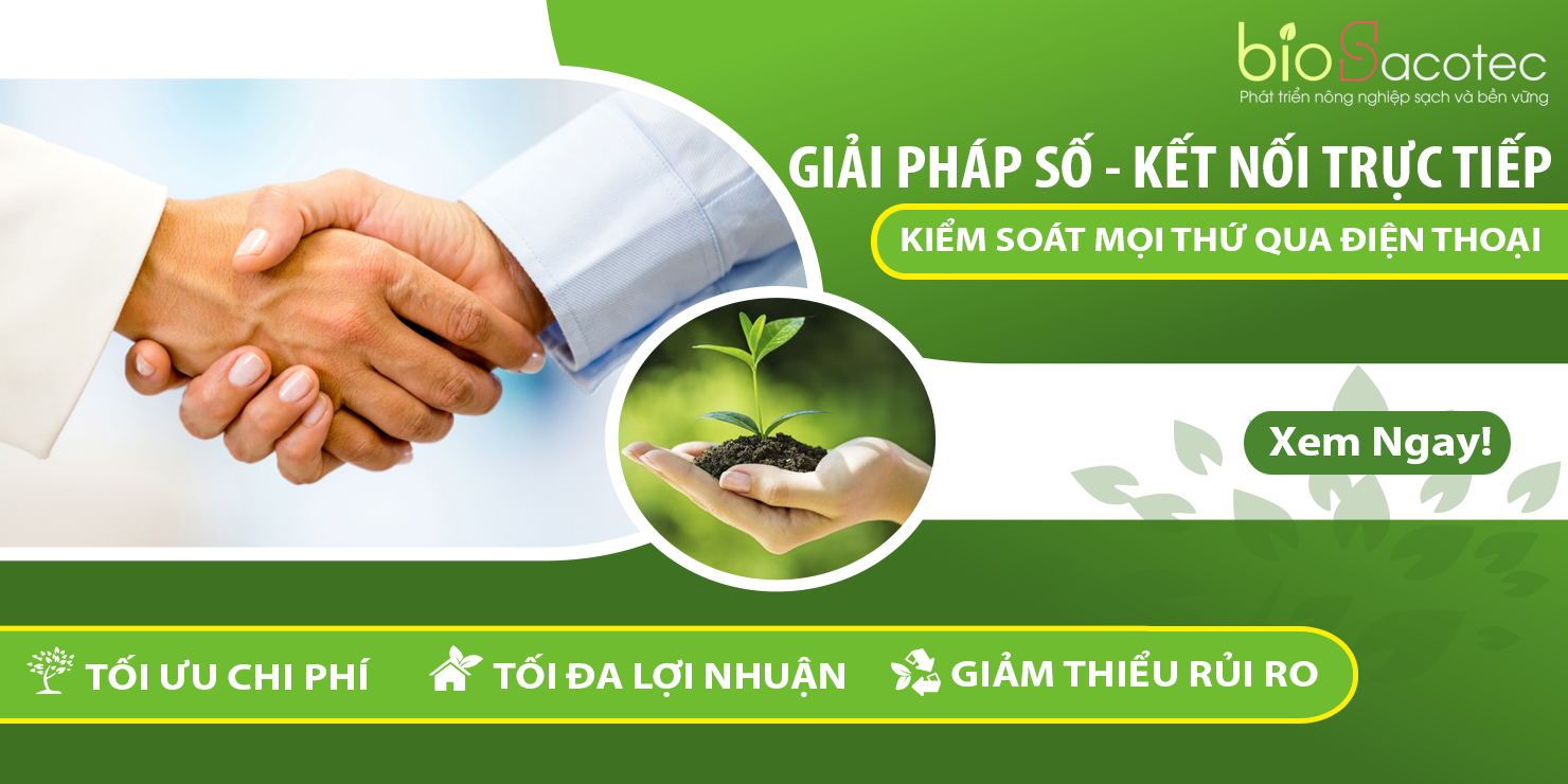 banner trang chủ 1