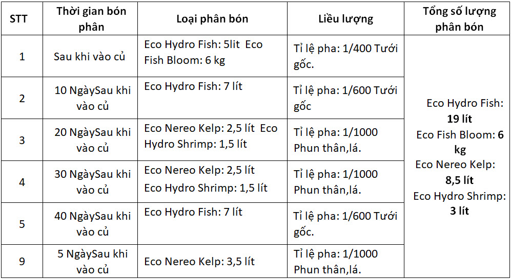 bon phan cay khoai lang thoi ky nuoi lay cu