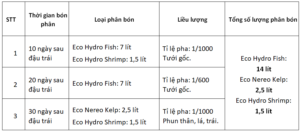 bón phân dưa hấu thời kỳ ra bông kết trái