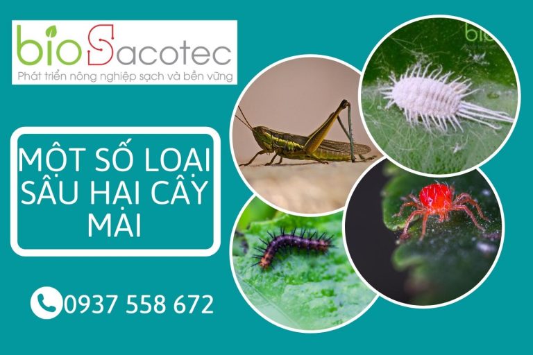 các biện pháp phòng trừ sâu bệnh hại