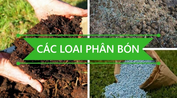 CÁC LOẠI PHÂN BÓN