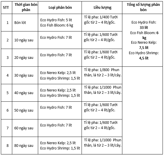 kỹ thuật bón phân eco