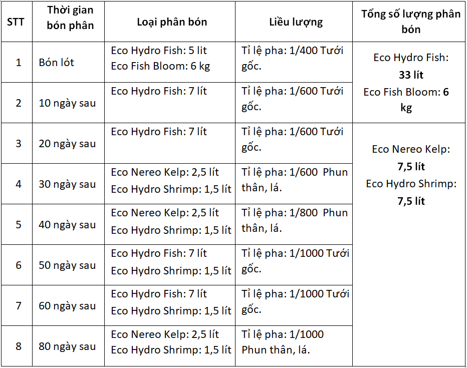 Thời kỳ nuôi cây đến khi cây trưởng thành.