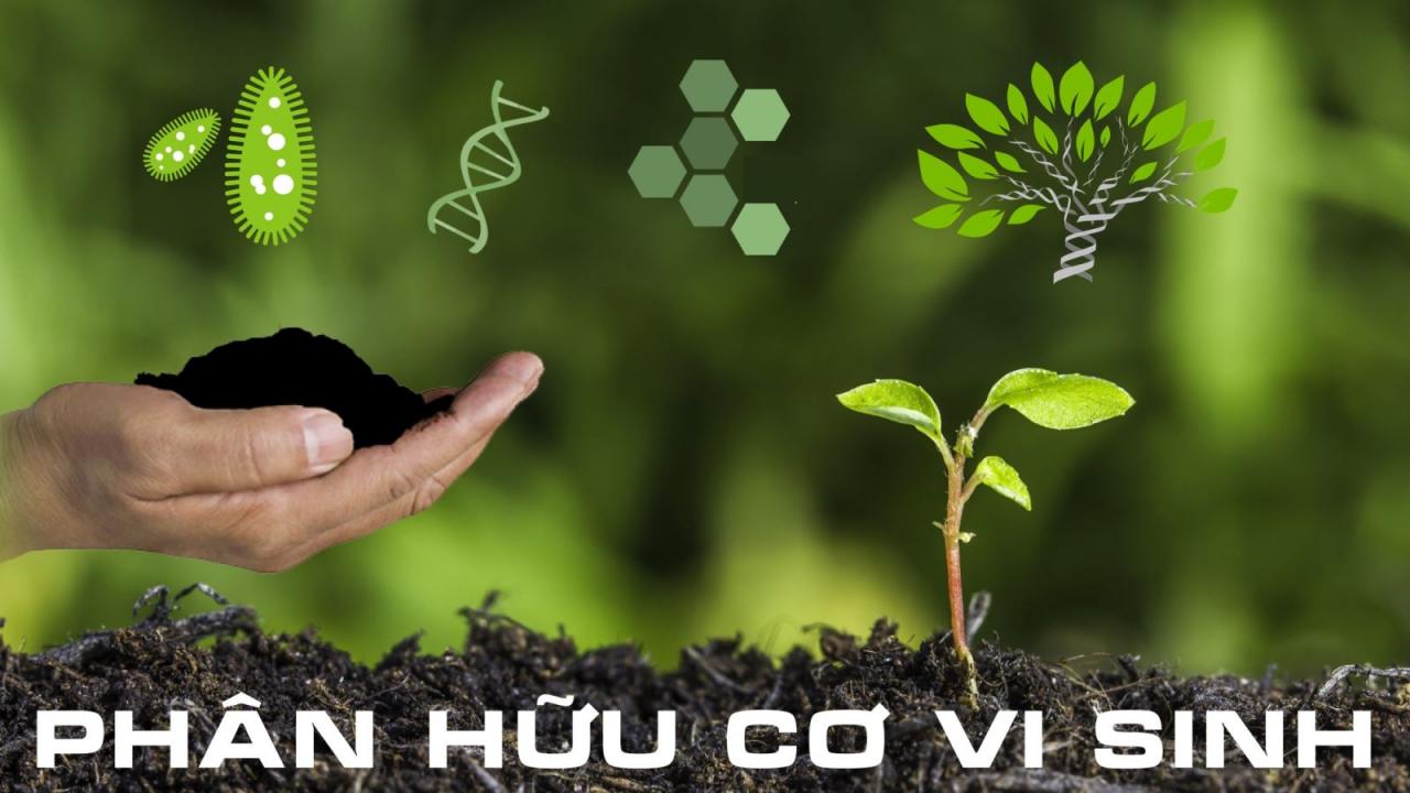 Phân hữu cơ vi sinh là gì