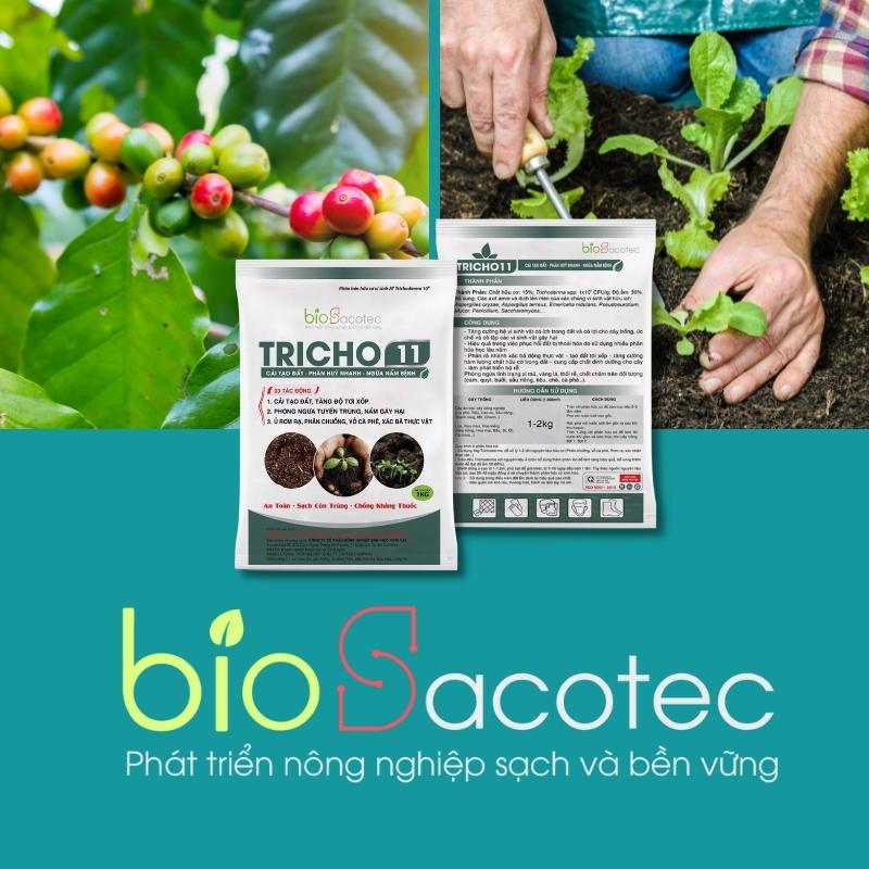 cải tạo và hồi phục đất