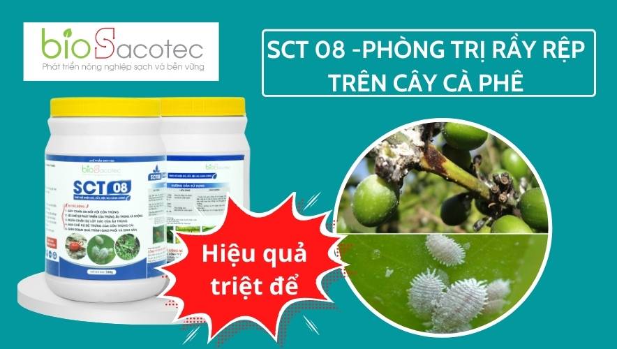 Phòng trị bệnh trên cây cà phê hiệu quả, tăng chất lượng hạt