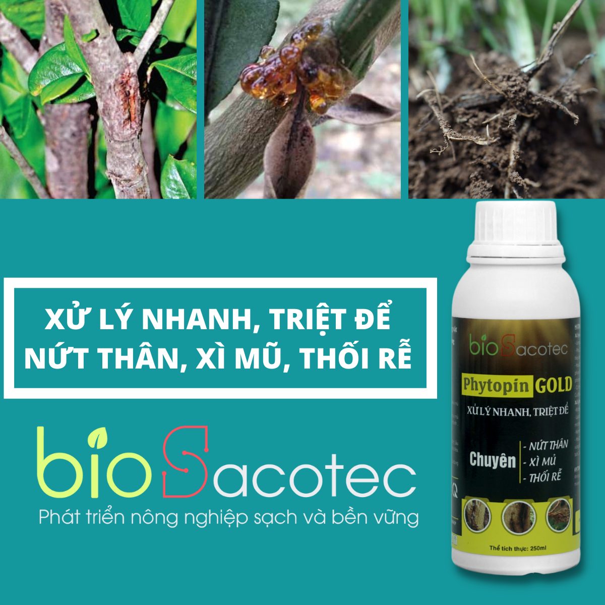 Chế phẩm sinh học Phytopin Gold - phòng trừ bệnh nứt thân, xì mủ, nấm hồng, thán thư, đốm lá