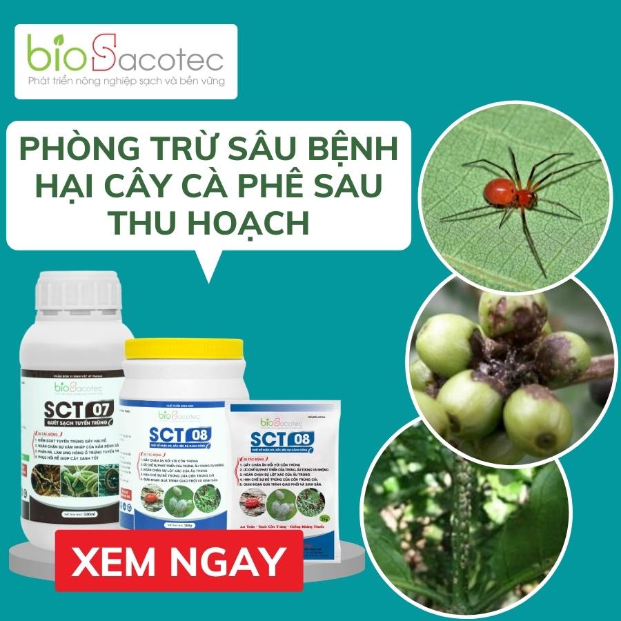 một số sản phẩm phòng trừ sâu bệnh hiệu quả trên cà phê