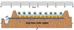 08 He thong tieu ngam