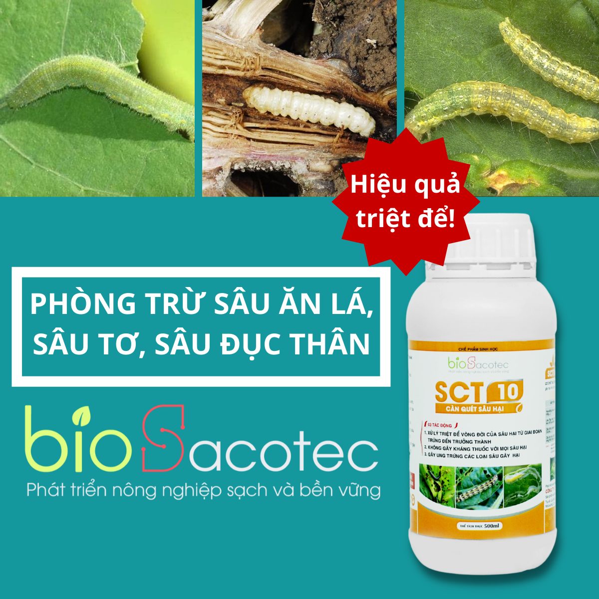 Chế phẩm trừ sâu sinh học SCT 10 - Phòng trừ sâu ăn lá, sâu tơ, sâu đục thân