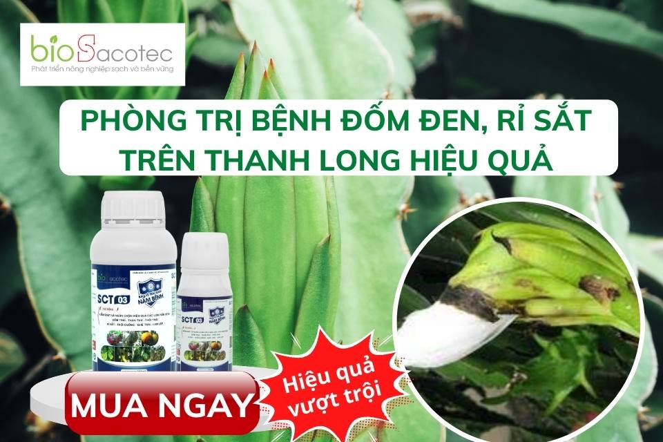 sâu bệnh hại trên thanh long