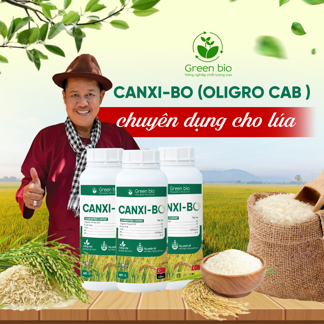 Canxi-Bo (OLIGRO CAB) – Chuyên dụng cho lúa 1 Artboard 1